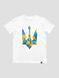 Футболка чоловіча "Ukraine Geometric" з гербом тризубом, Білий, M