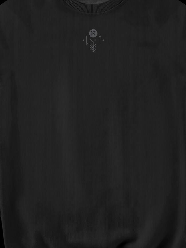 Світшот чоловічий "Dragonfly", Чорний, 2XL