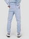 Костюм мужской худи на молнии и штаны Светло-голубой, світло-блакитний, M-L, L (108 см)