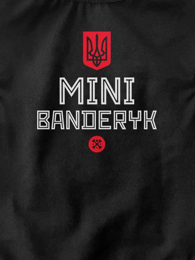 Dog's T-shirt "Mini Banberyk", Black, XS