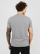 Men's T-shirt "Stay Strong, be Capy (Capybara)", Gray, L