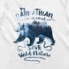 Men's T-shirt "Carpathian Blue Mountains", White, XS